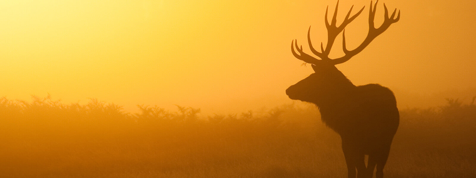 Strathconon in the Scottish Highlands